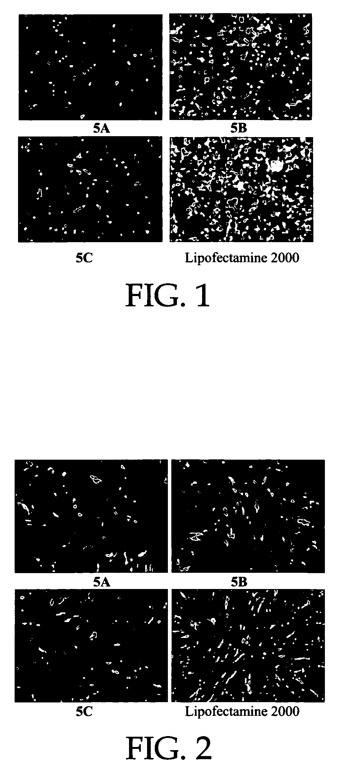 Biodegradable cationic polymers