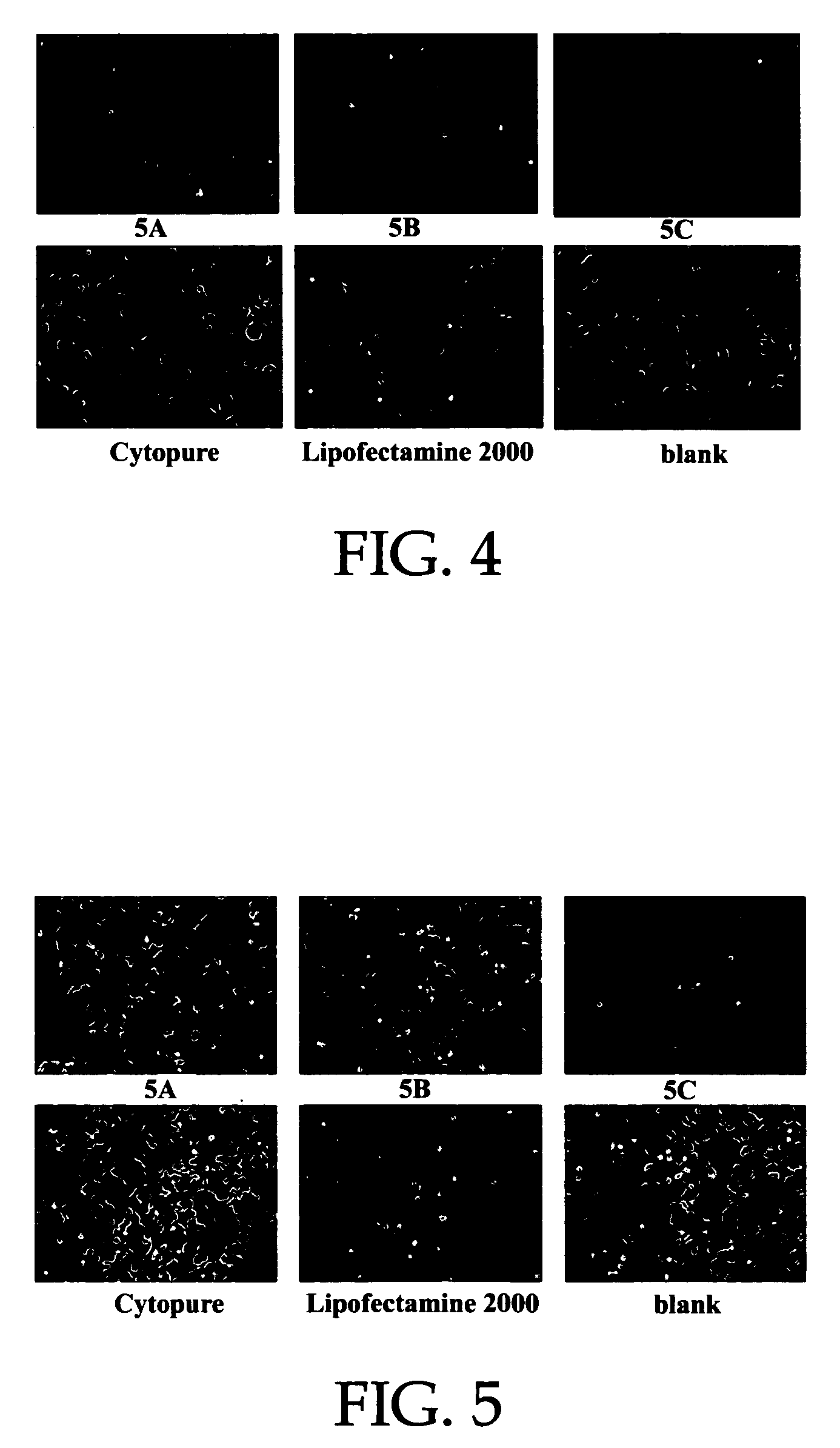 Biodegradable cationic polymers