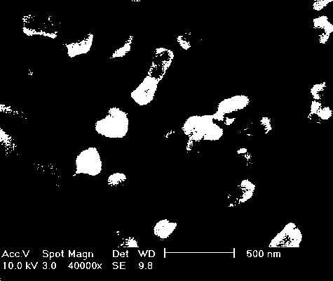 Composite material of modified boride filled with epoxy resin