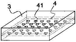 Cordyceps sinensis strain collecting device and method