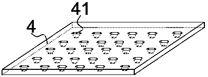 Cordyceps sinensis strain collecting device and method