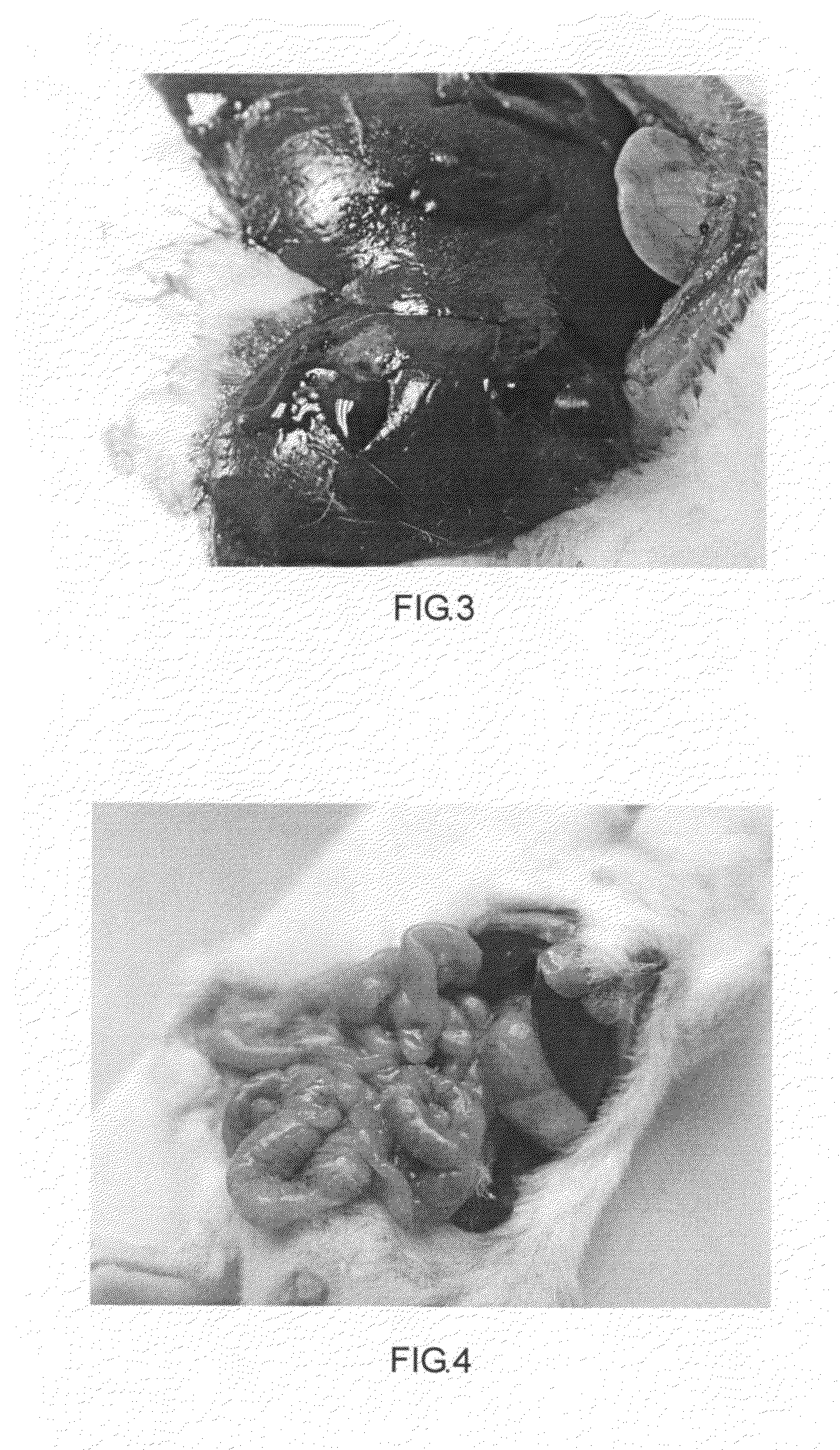 Modified starch material of biocompatible hemostasis