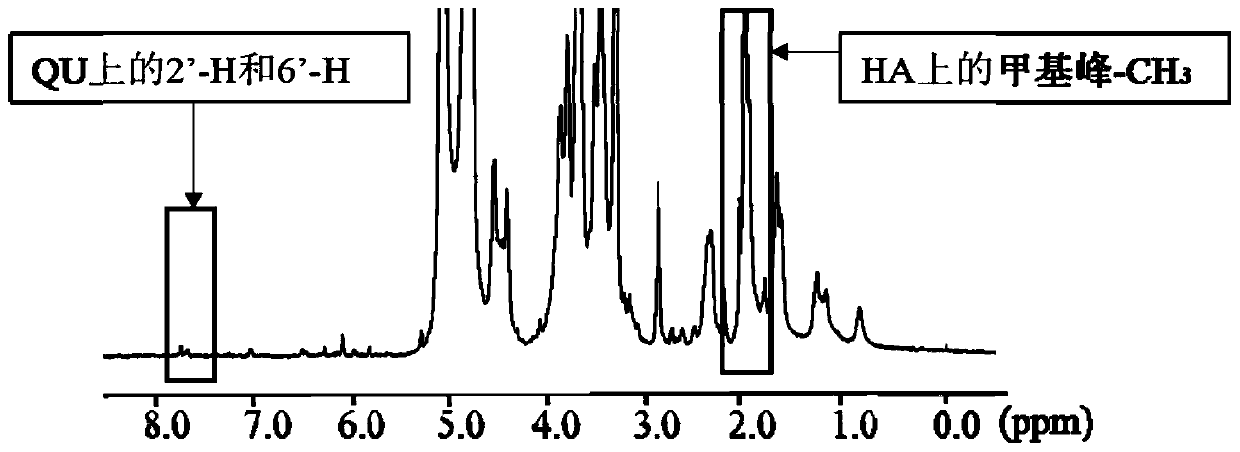 Targeting drug delivery system capable of resisting drug-resistant tumor and preparation method of targeting drug delivery system