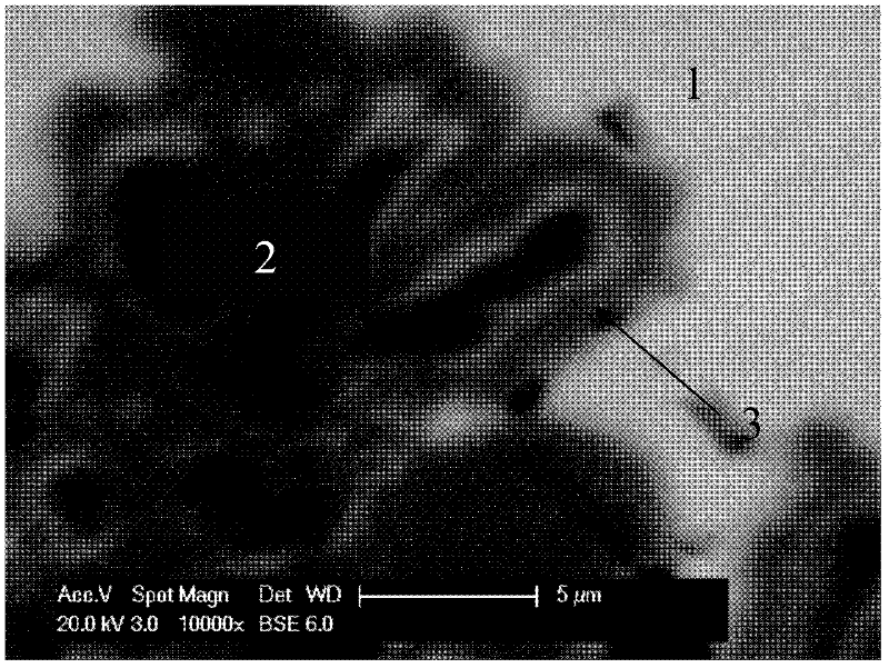 Magnetic particle tin-zinc matrix composite solder and preparation method thereof