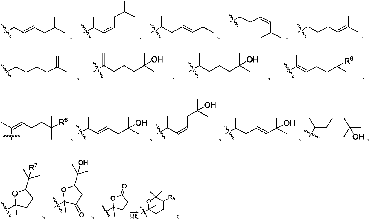 Novel blank liposomes taking ginsenoside derivatives as membrane materials, and preparation method and application thereof