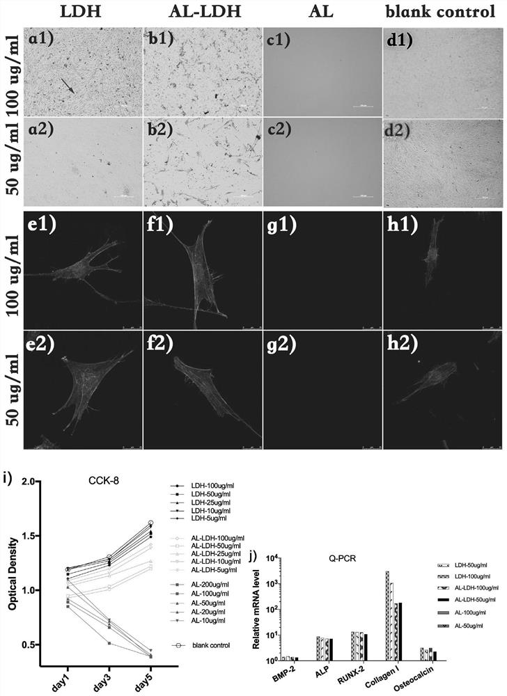 A new type of bone regeneration-promoting material and preparation method thereof