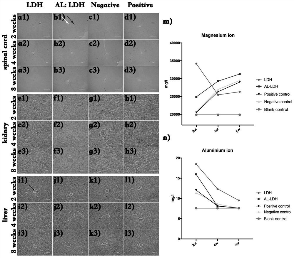 A new type of bone regeneration-promoting material and preparation method thereof