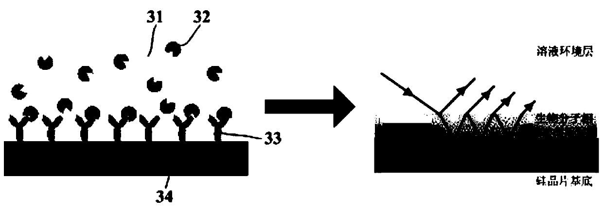 A biosensing system based on elasto-optic modulation with 45° dual-drive symmetric structure