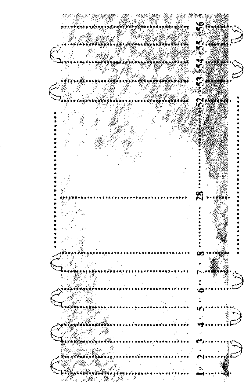 Method for representing and diagnosing combustion instability