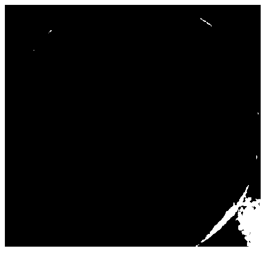 Cellulose-degrading bacteria with phosphate-dissolving capability and application thereof