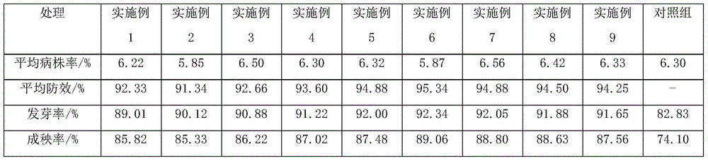 Antibiotic seed treatment agent composition