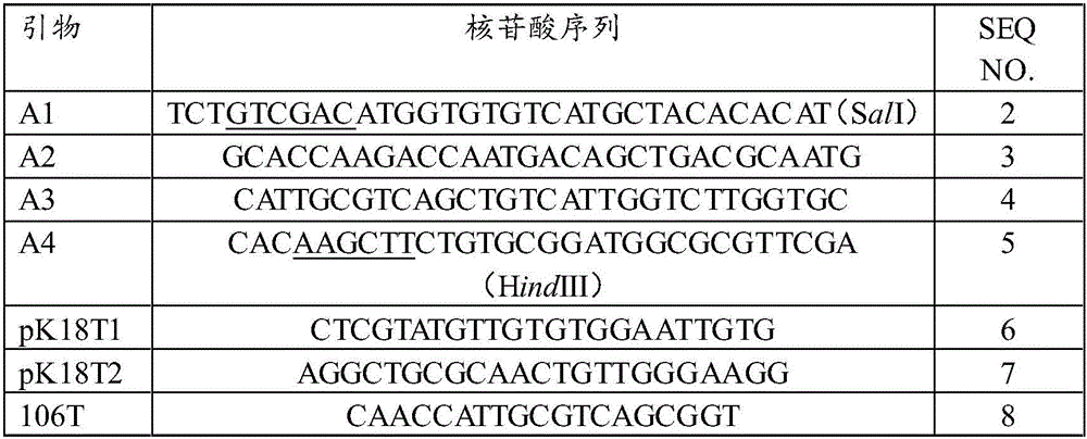 Recombinant strain and application thereof