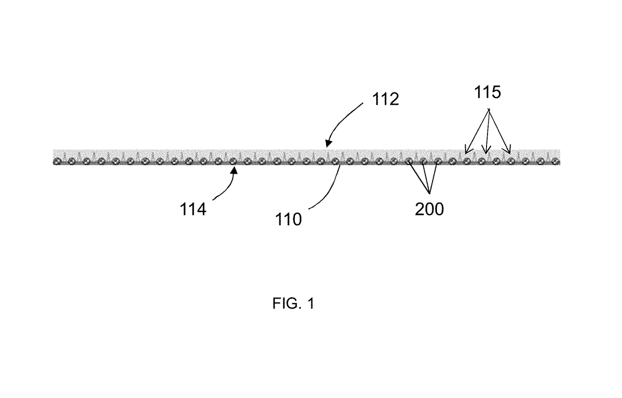 Perfusion bioreactor platform