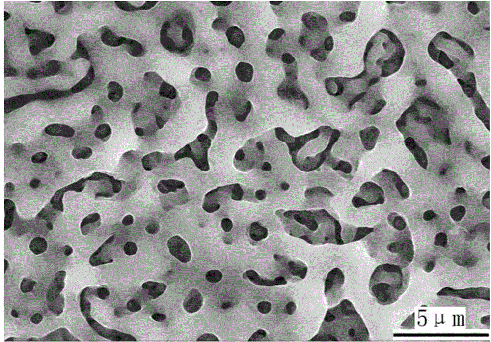 Method for preparing multilevel-hole structure with titanium surface containing calcium and phosphorus