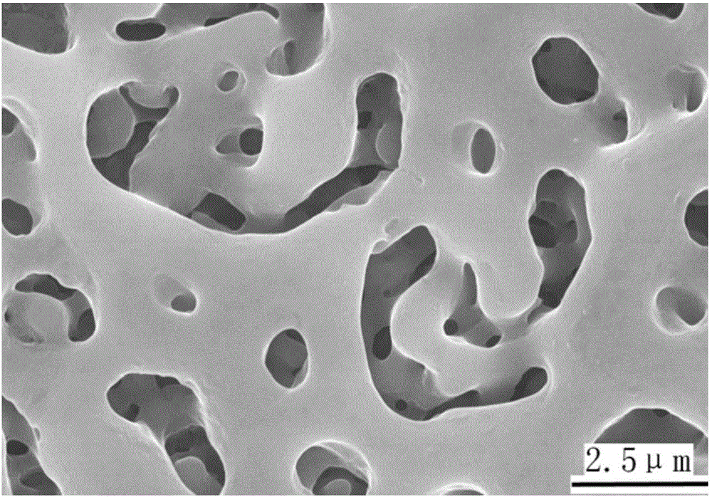 Method for preparing multilevel-hole structure with titanium surface containing calcium and phosphorus