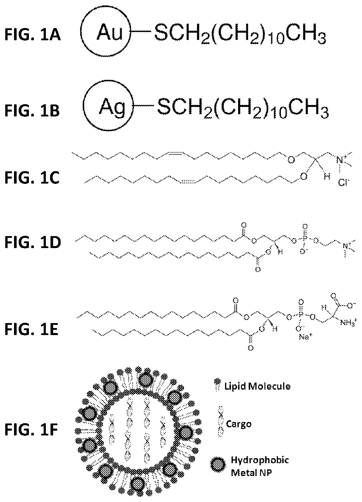 Nanoparticle-induced fusogenicity between liposome and endosome membranes for targeted delivery through endosomal escape