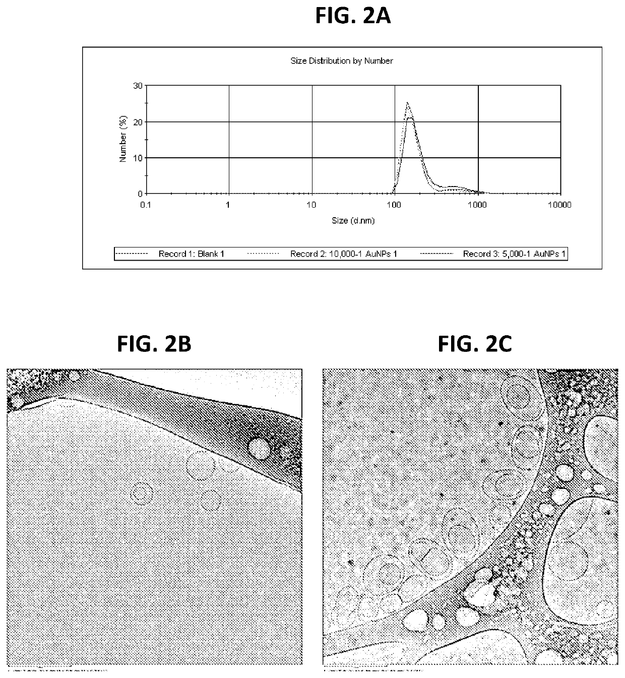 Nanoparticle-induced fusogenicity between liposome and endosome membranes for targeted delivery through endosomal escape