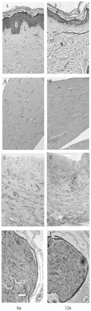 A biological sample simulation preservation experimental device and method for preserving biological samples