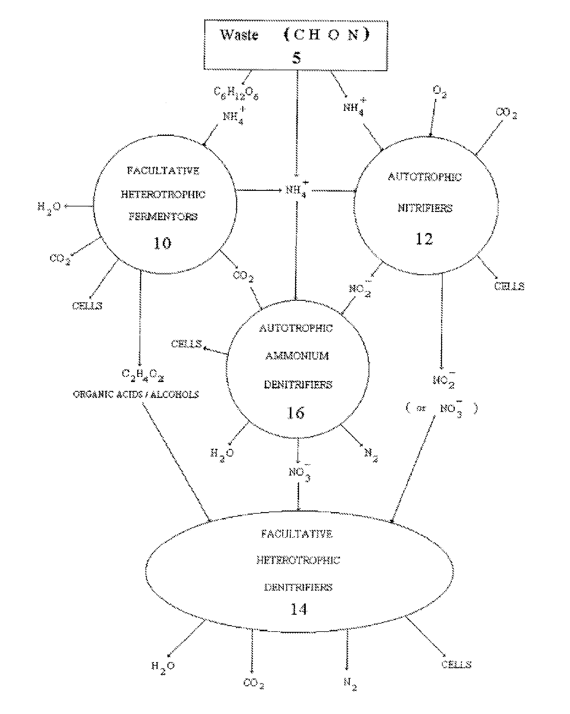 Method for treating nitrogen in waste streams