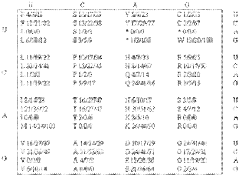 Optimized gene of recombinant glucose oxidase and expression vector and application of optimized gene