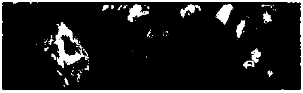 Super-resolution image reconstruction method based on structure self-similarity and sparse representation