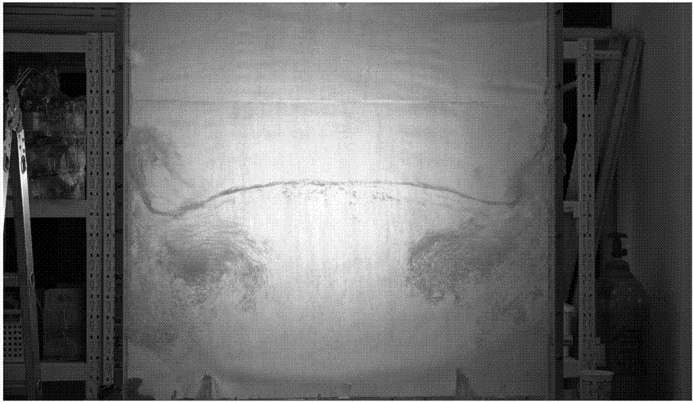 Visual experimental system for shake features of molten fuel tank during severe accidents of sodium-cooled fast reactor