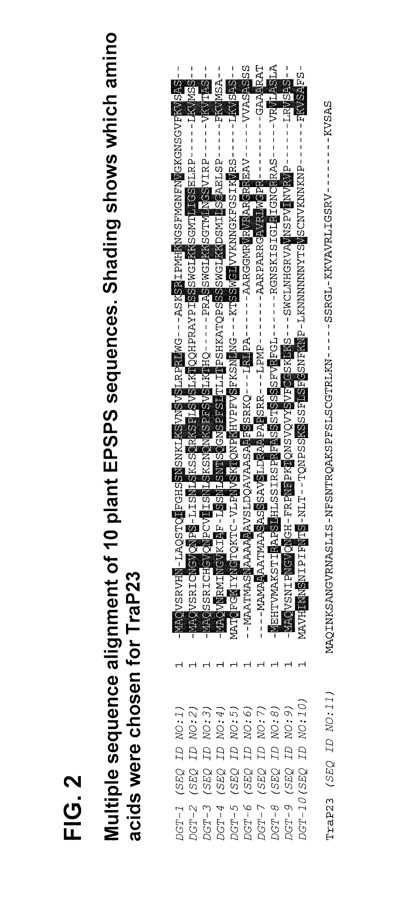 Synthetic chloroplast transit peptides