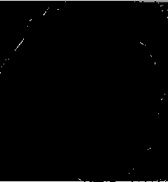 Catalyst for directly preparing low carbon olefin through hydrogenation of carbon dioxide and preparation method thereof