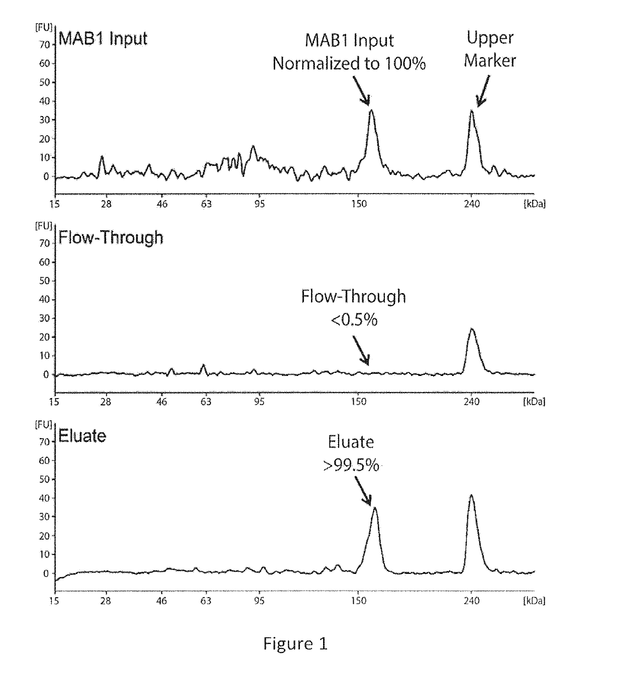 Quantitation and Modeling of Quality Attributes of Therapeutic Monoclonal Antibodies