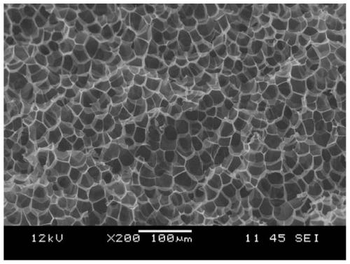 Low-density polypropylene bead foam and preparation method and application thereof