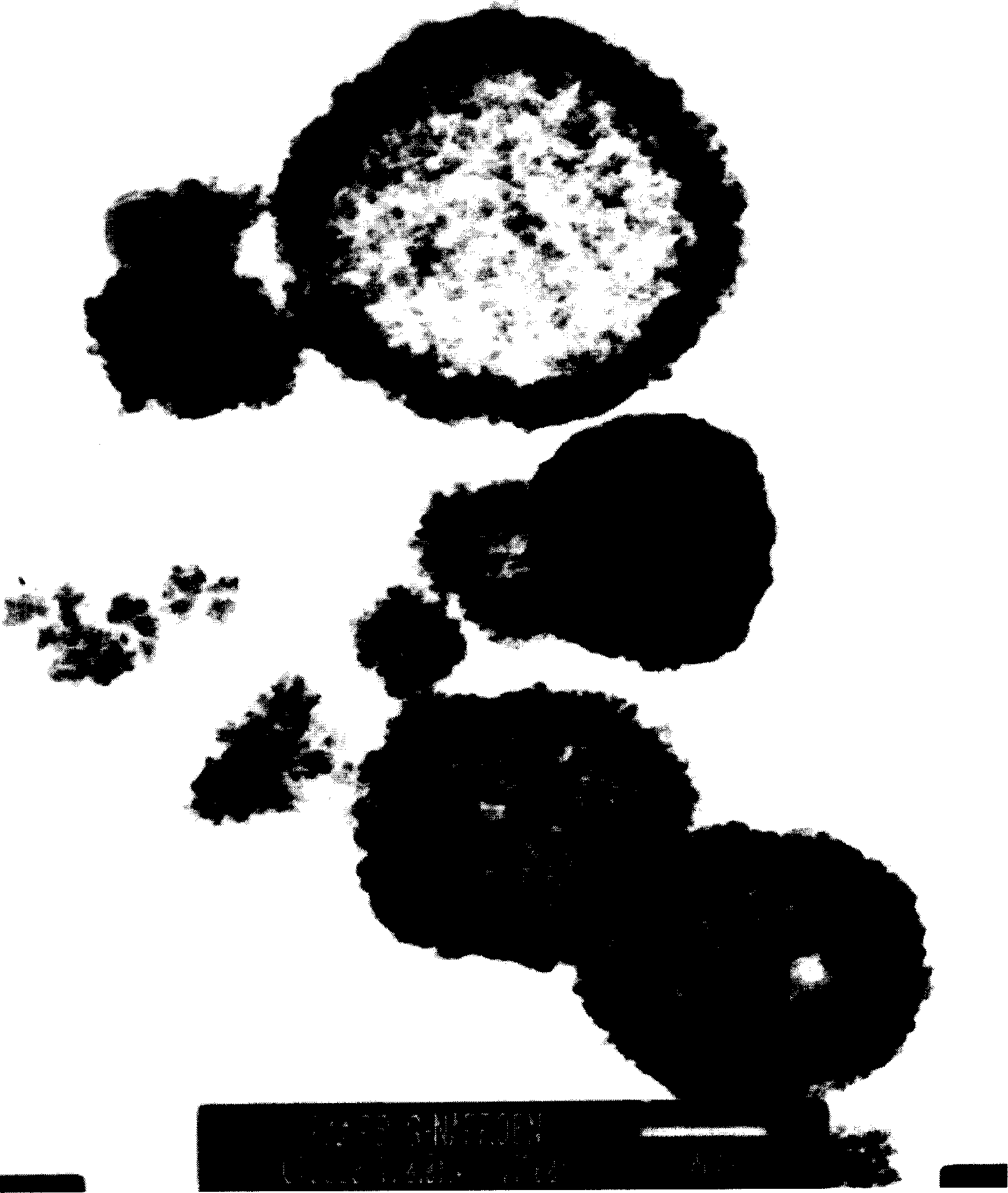 Poly propenoic acid/polypeptide grafted copolymer and its preparing method and use