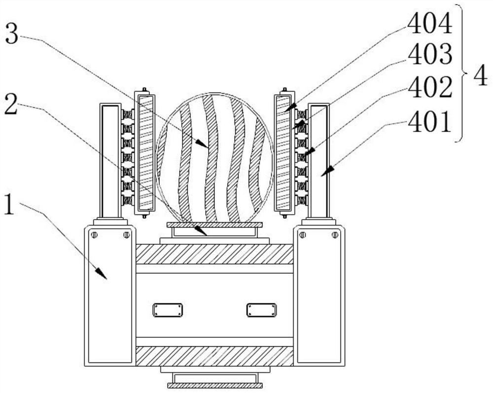 Watermelon juice beverage with nutritional function and processing equipment