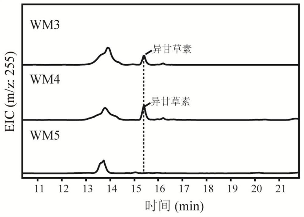 Fusion protein, its coding gene and its application in biosynthesis