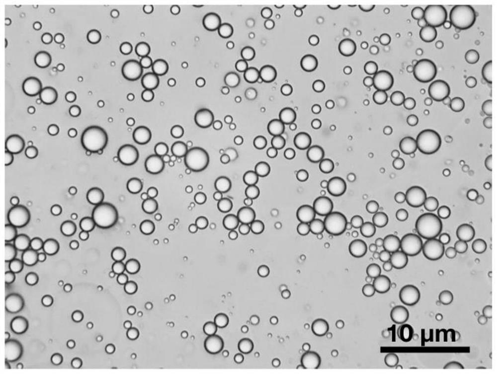 A kind of alkenyl succinic anhydride sizing agent and its preparation method and application