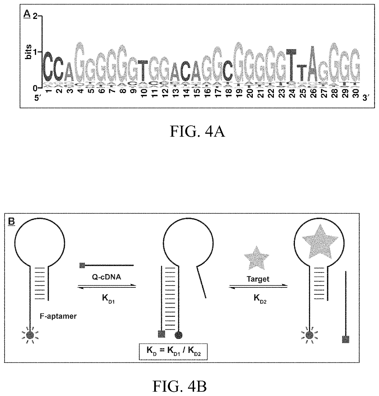 Aptamers that bind to natural and synthetic cannabinoids