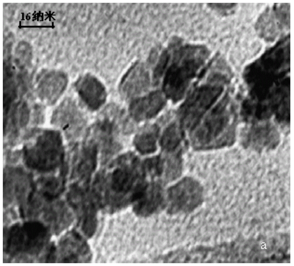 Preparation and application of aptamer-magnetic nanoparticle used for enrichment and separation of aflatoxin B1