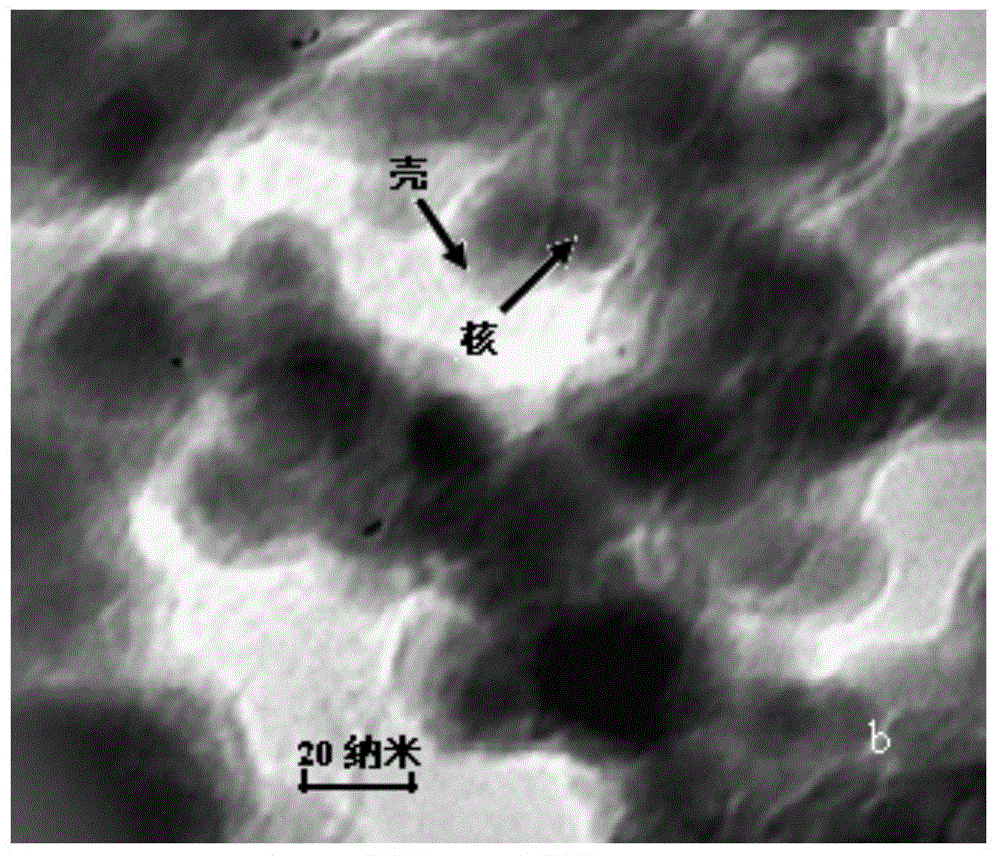 Preparation and application of aptamer-magnetic nanoparticle used for enrichment and separation of aflatoxin B1