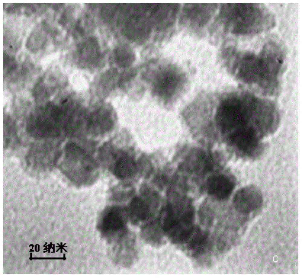 Preparation and application of aptamer-magnetic nanoparticle used for enrichment and separation of aflatoxin B1