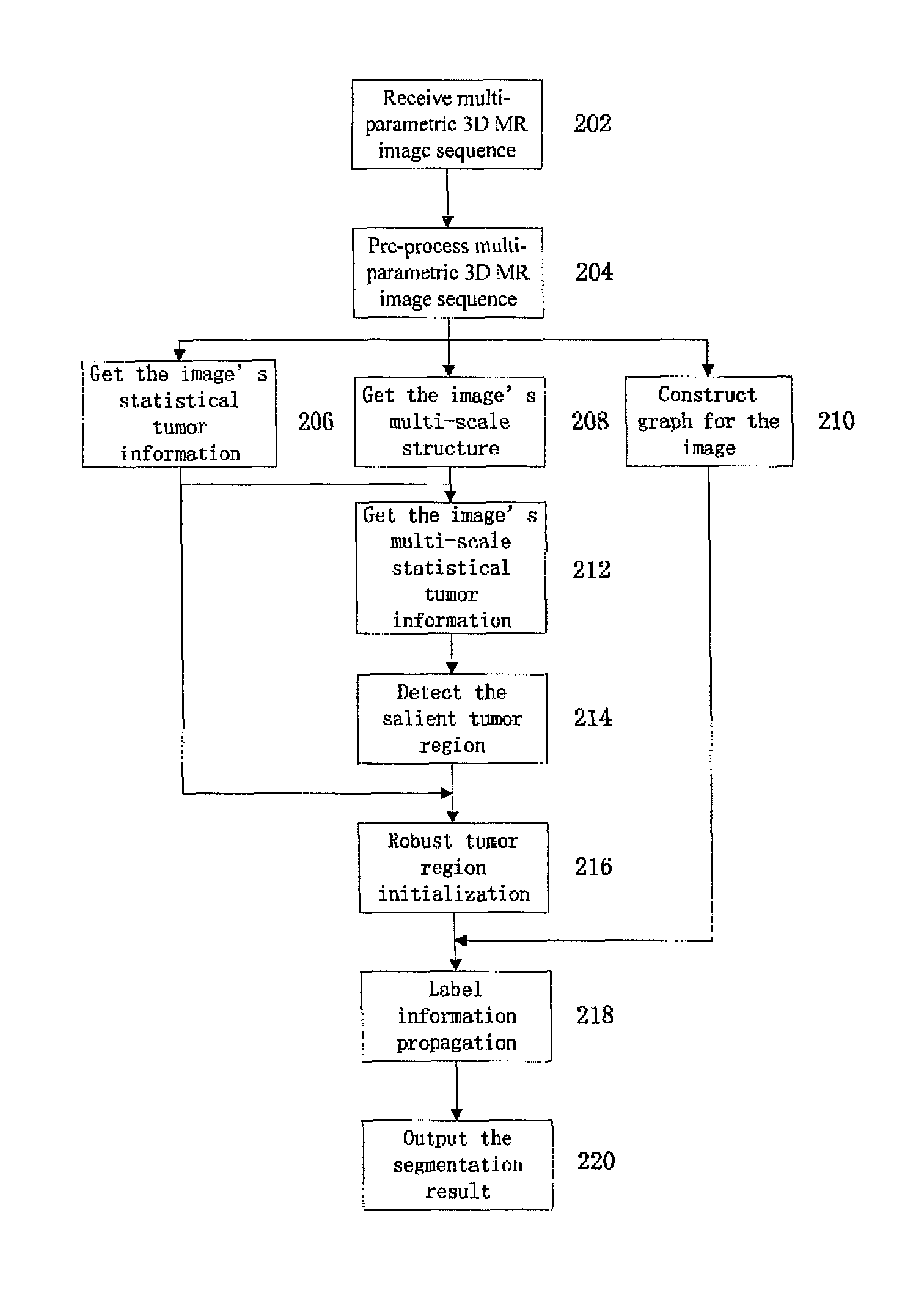 Method for brain tumor segmentation in multi-parametric image based on statistical information and multi-scale structure information