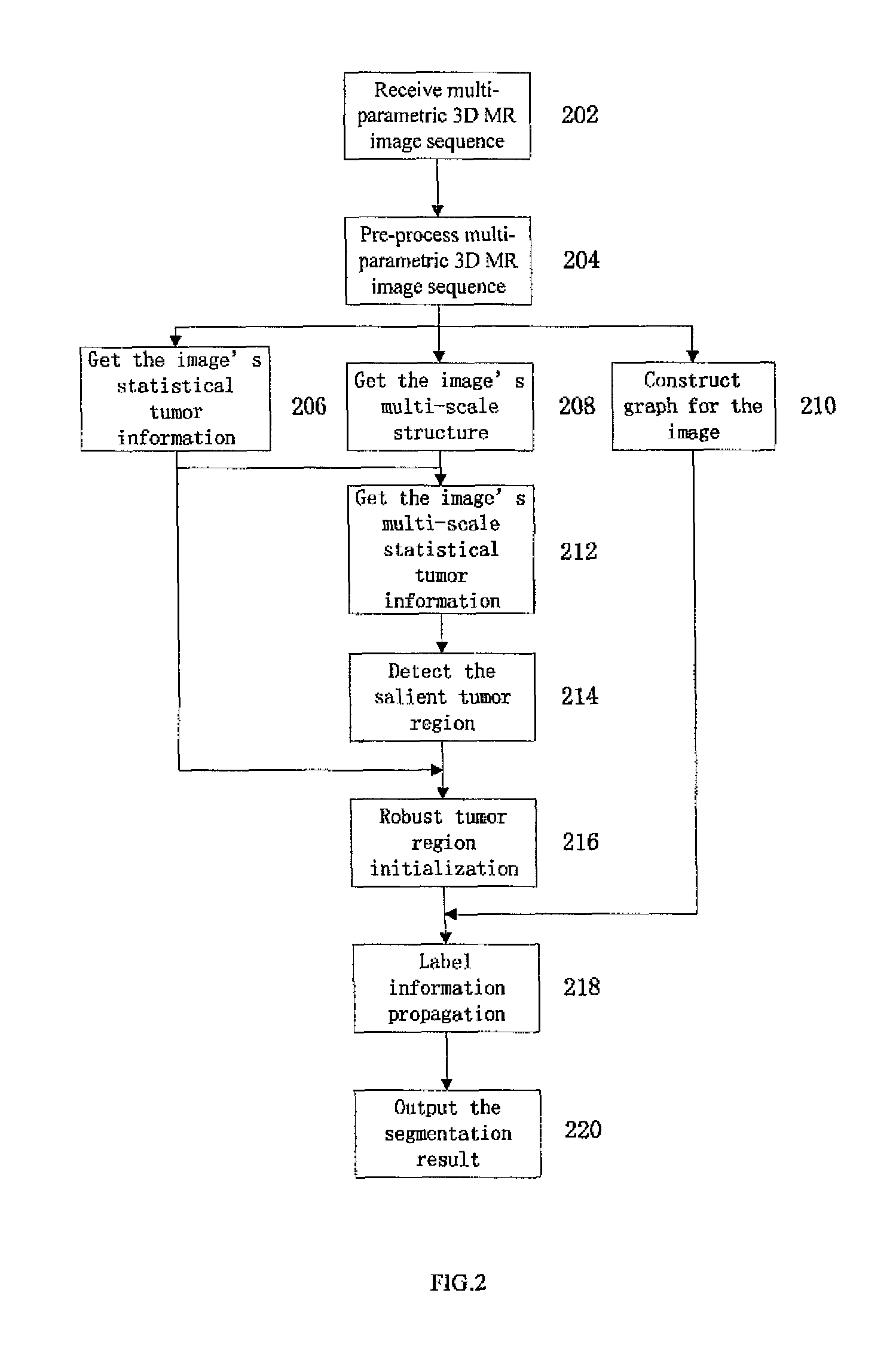 Method for brain tumor segmentation in multi-parametric image based on statistical information and multi-scale structure information