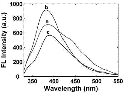 Preparation of copper nanoclusters by using nucleosides as stabilizers and method using copper nanoclusters for identifying nucleosides