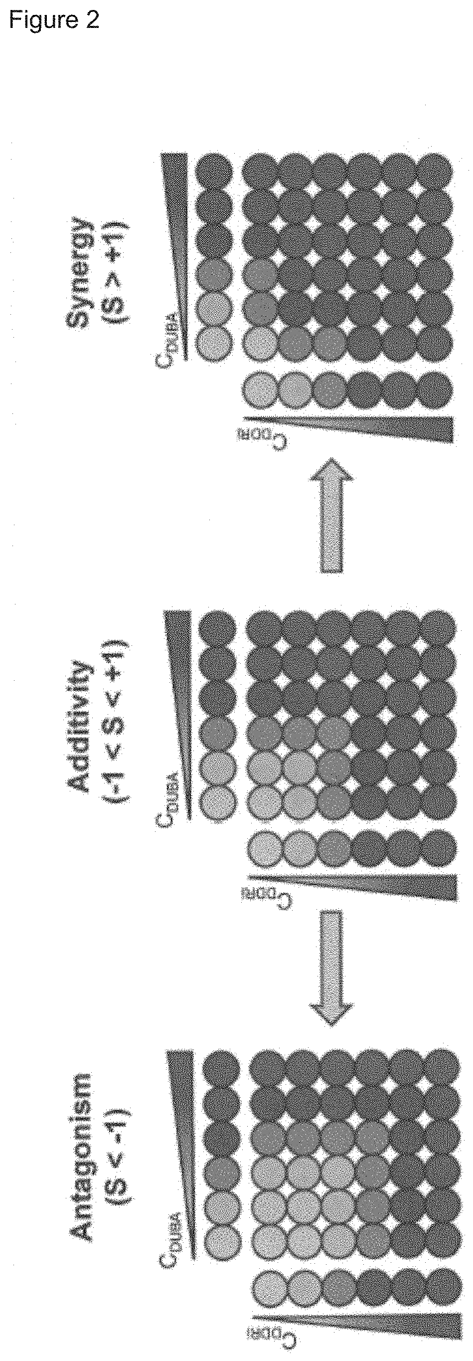 Combination therapy utilizing DNA alkylating agents and atr inhibitors