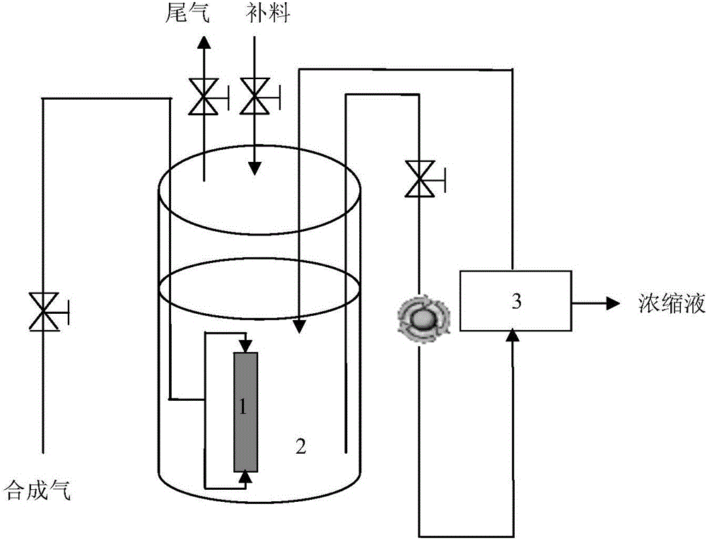 System for fermenting synthesis gas to produce alcohol and processing method thereof