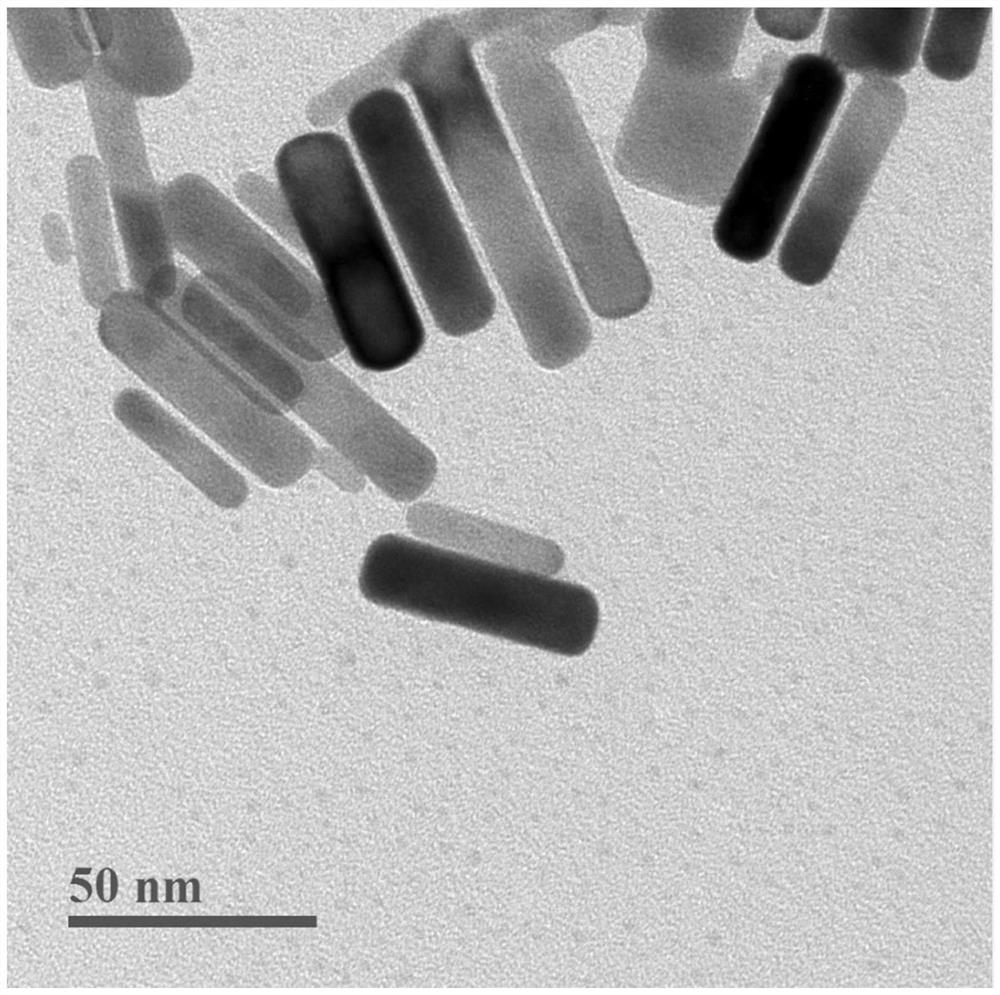 A kind of APD hybrid nano system and its construction method and application