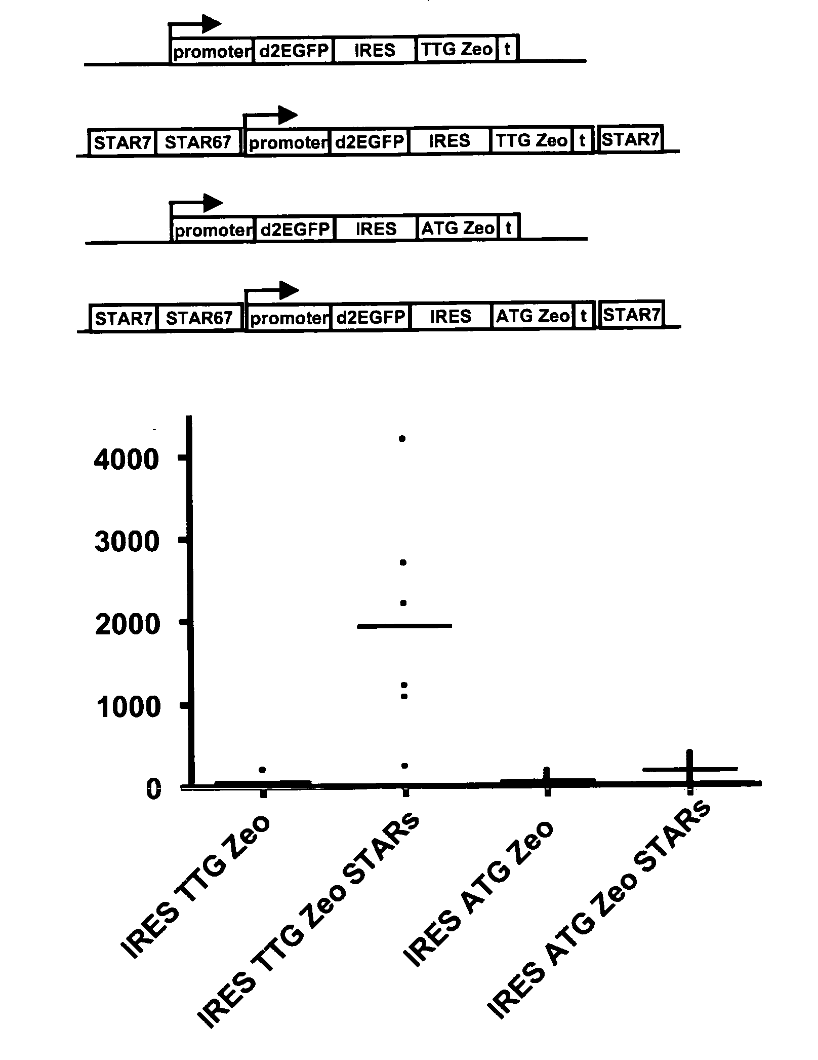 Selection of Host Cells Expressing Protein at High Levels