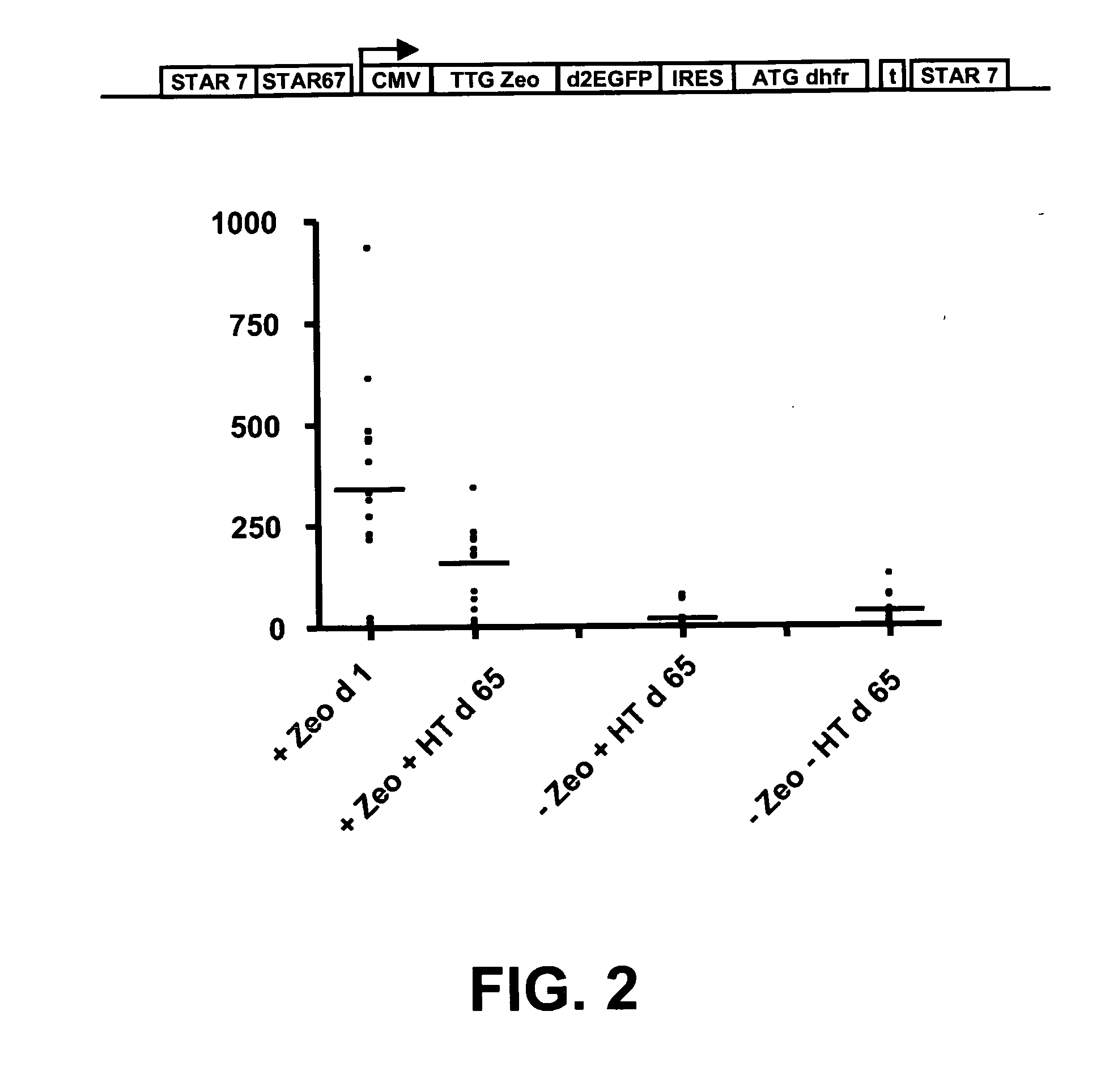 Selection of Host Cells Expressing Protein at High Levels