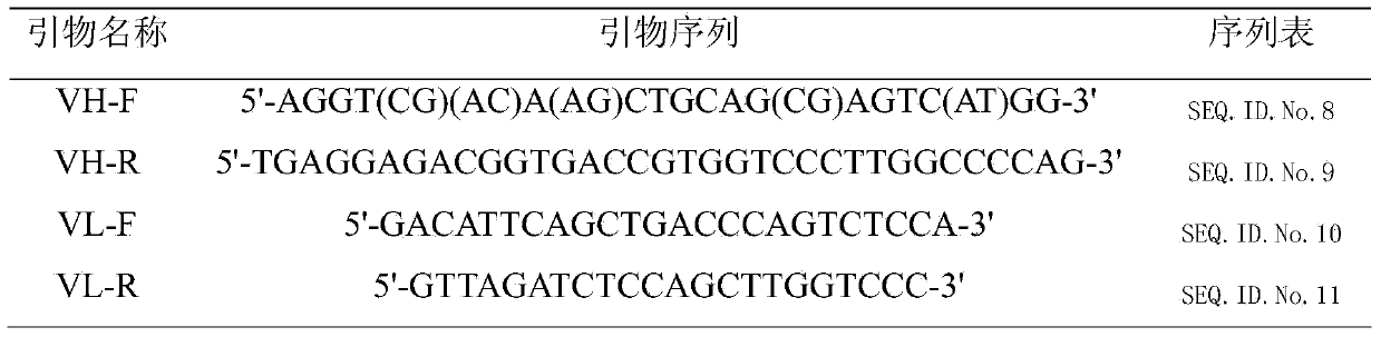 Recombinant protein for detecting hog cholera virus, preparation method and application thereof