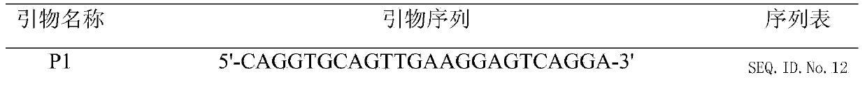 Recombinant protein for detecting hog cholera virus, preparation method and application thereof