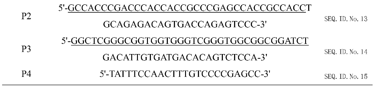 Recombinant protein for detecting hog cholera virus, preparation method and application thereof