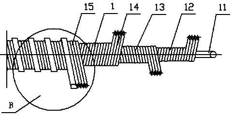 Flexible screw